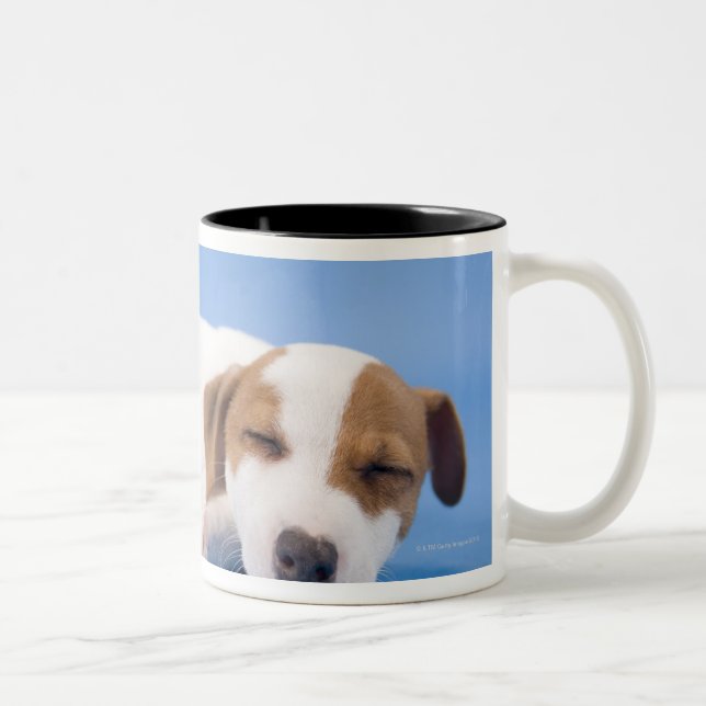 Sova för hund Två-Tonad mugg (Höger)