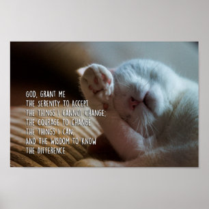 Sova för katt för Serenitybön fridsamt Poster