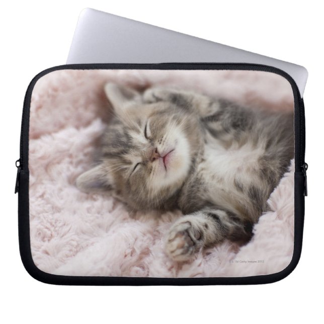 Sova för kattunge laptop fodral (Framsidan)