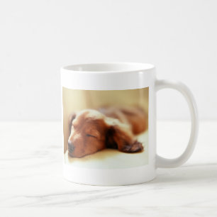 Sova för tax kaffemugg