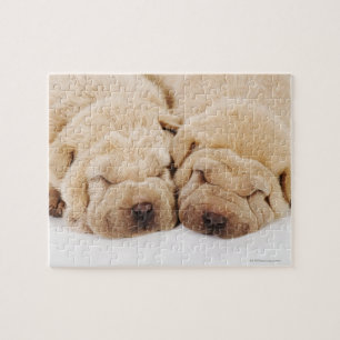 Sova för två Shar Pei valpar Pussel