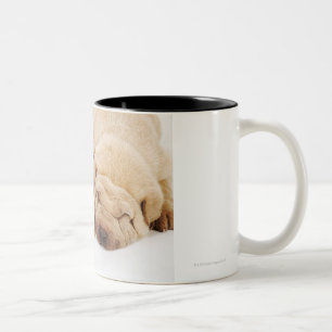 Sova för två Shar Pei valpar Två-Tonad Mugg