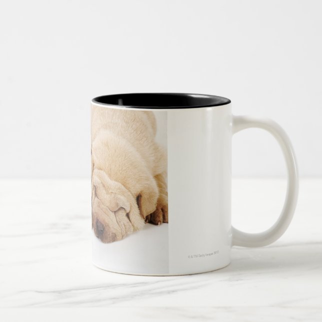 Sova för två Shar Pei valpar Två-Tonad Mugg (Höger)