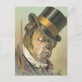 "Sova hund" vintageillustration Vykort