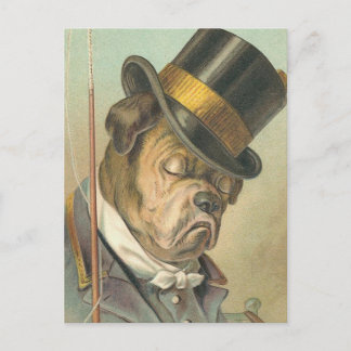 "Sova hund" vintageillustration Vykort