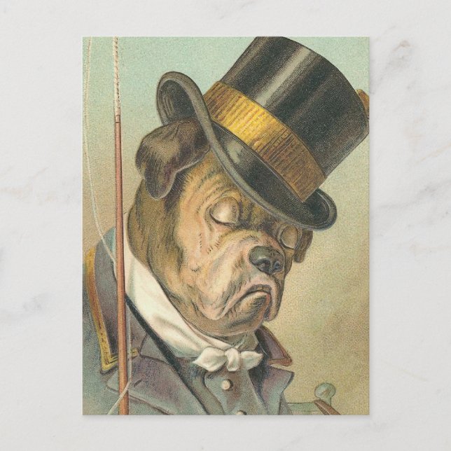 "Sova hund" vintageillustration Vykort (Framsida)