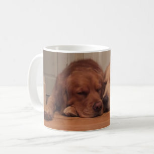 Sova hundar kaffemugg