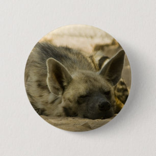 Sova hyenaen knäppas knapp