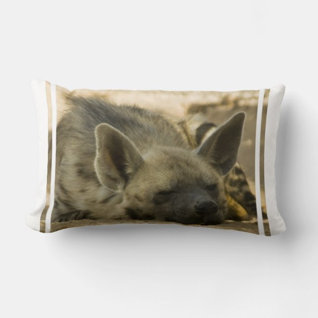 Sova hyenaen kudde (Framsida)