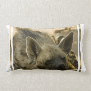 Sova hyenaen kudde