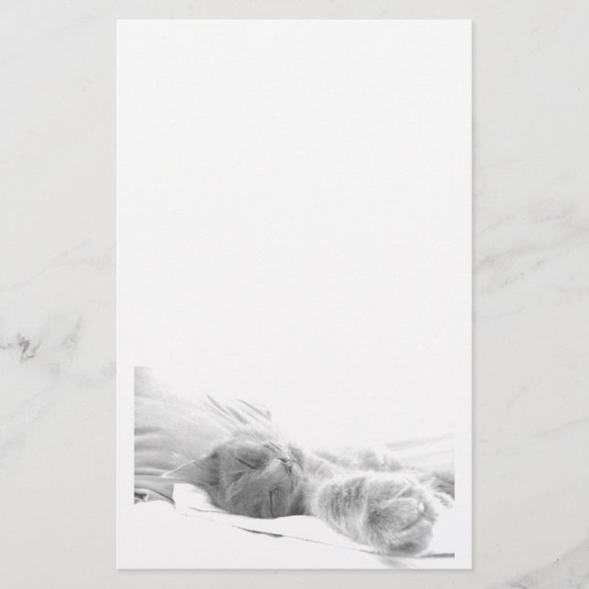 Sova kattbrevpapper brevpapper (Framsida)