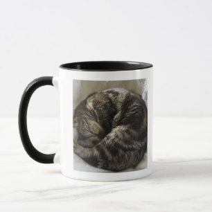 Sova katten mugg