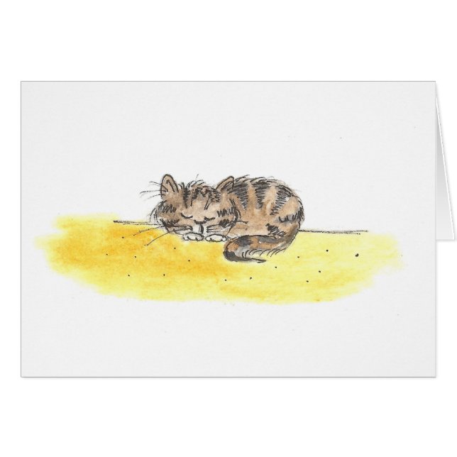 Sova katten OBS kort (Framsidan Horizontal)