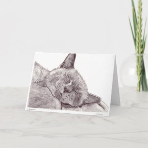 Sova katten tack kort