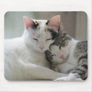 Sova katter Mousepad Musmatta