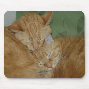 Sova katter Mousepad Musmatta