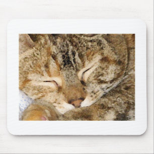 Sova kattunge Mousepad Musmatta