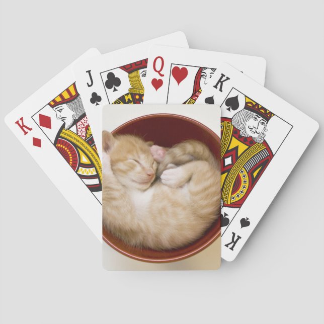 Sova kattungen casinokort (Baksidan)