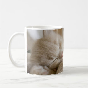 Sova kattungen kaffemugg