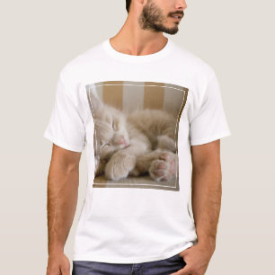 Sova kattungen t-shirt