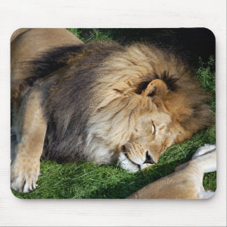 Sova lejona Mousepad Musmatta
