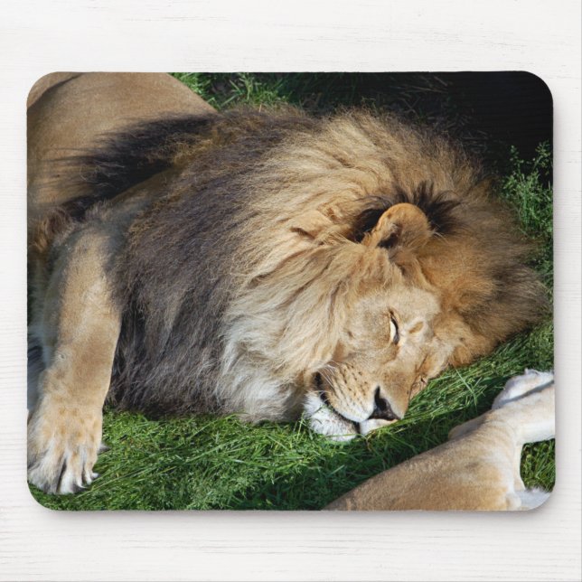 Sova lejona Mousepad Musmatta (Framsidan)