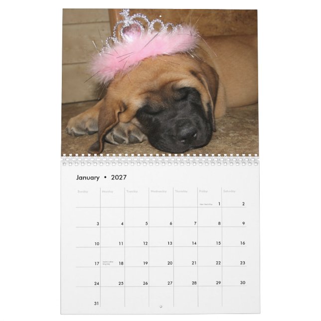 Sova Mastiffkalendern Kalender (Jan 2027)
