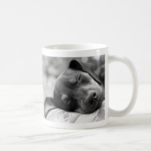 Sova miniatyrPinscherhunden Kaffemugg