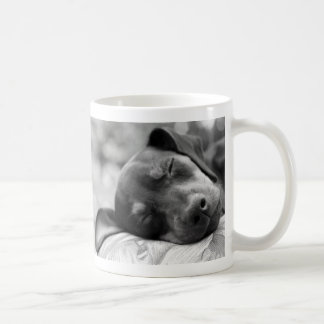 Sova miniatyrPinscherhunden Kaffemugg