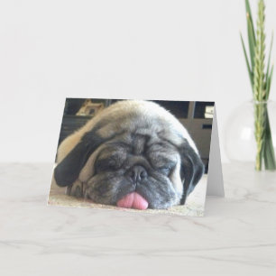 sova mopsnotecard kort