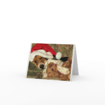 Sova nyfiken för Santa Beaglehund - tack