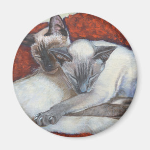 Sova Siamese kattkonst Magnet