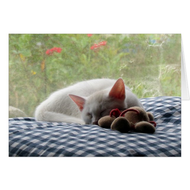 Sova skönhet hälsningskort (Framsidan Horizontal)