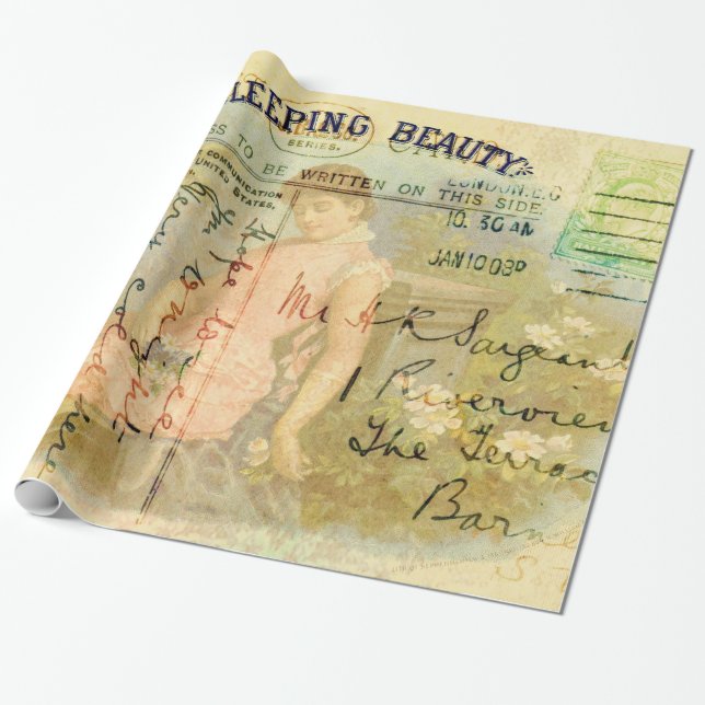Sova skönhet presentpapper (Utrullad)