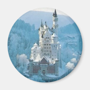 Sova skönhet slott magnet