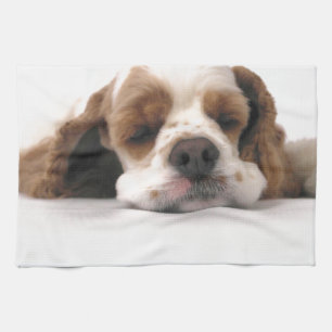 Sova som är rött,/vitcockerspanielSpaniel Kökshandduk