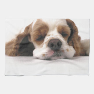 Sova som är rött,/vitcockerspanielSpaniel Kökshandduk