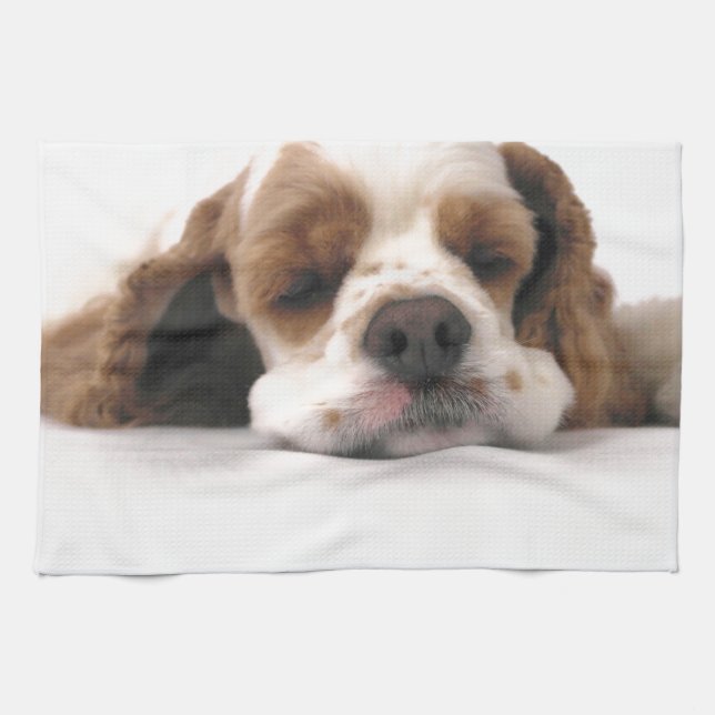 Sova som är rött,/vitcockerspanielSpaniel Kökshandduk (Horisontell)