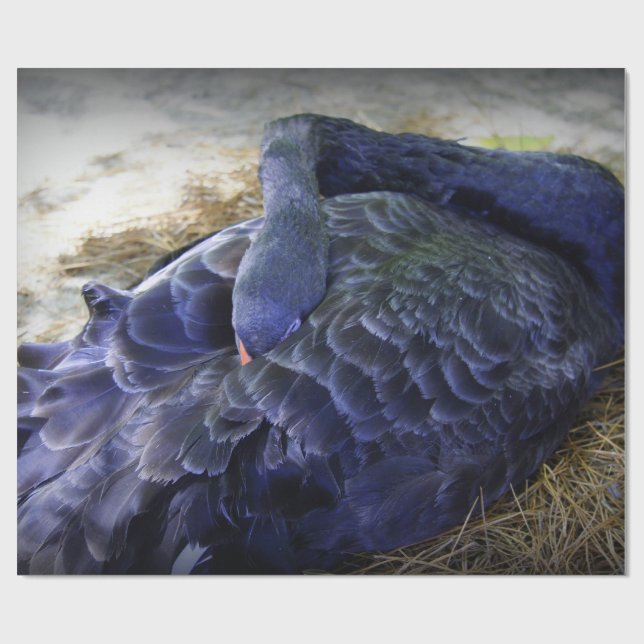 Sova svanen presentpapper (Platt)