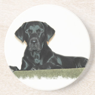 Sova svart underlägg för Labrador Retriever Sandsten