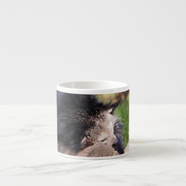 Sovande Binturong Espressomugg (Framsidan)