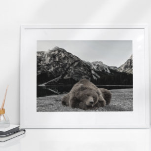 Sovande Björn Rustik Hyttinredning Landskap Poster