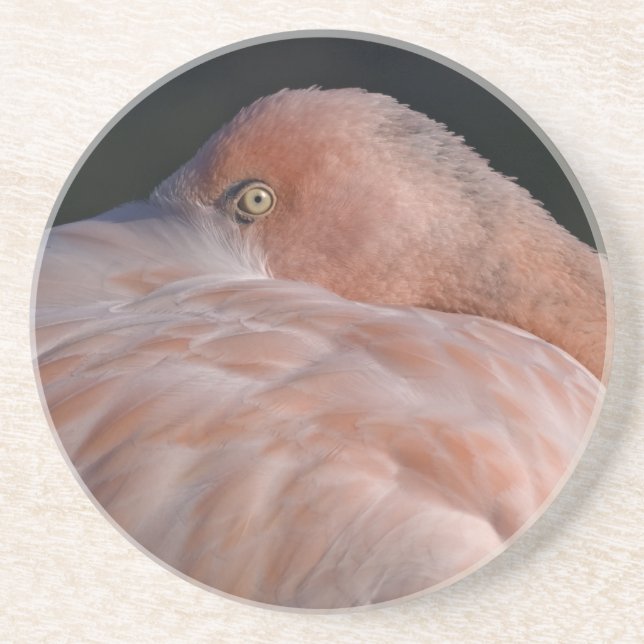 Sovande Flamingo Achterbahn Underlägg Sandsten (Framsidan)