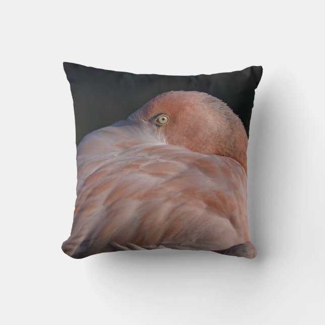 Sovande Flamingo Kudde (Framsida)
