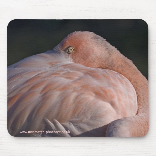 Sovande Flamingo Musmattor (Framsidan)