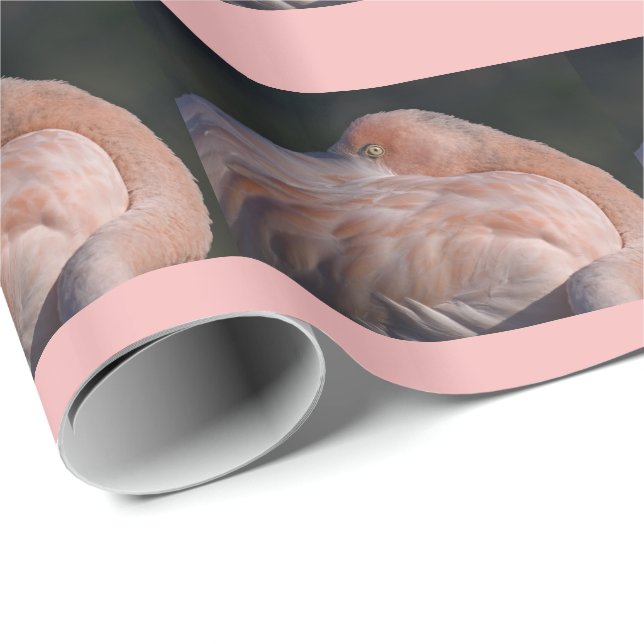 Sovande flamingo presentpapper (Rullad Hörn)