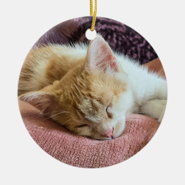 Sovande ginger kattunge julgransprydnad keramik (Framsidan)