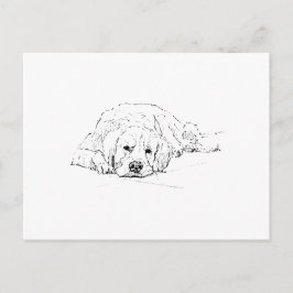 Sovande Golden Retriever, Hundälskare, Teckning Vykort
