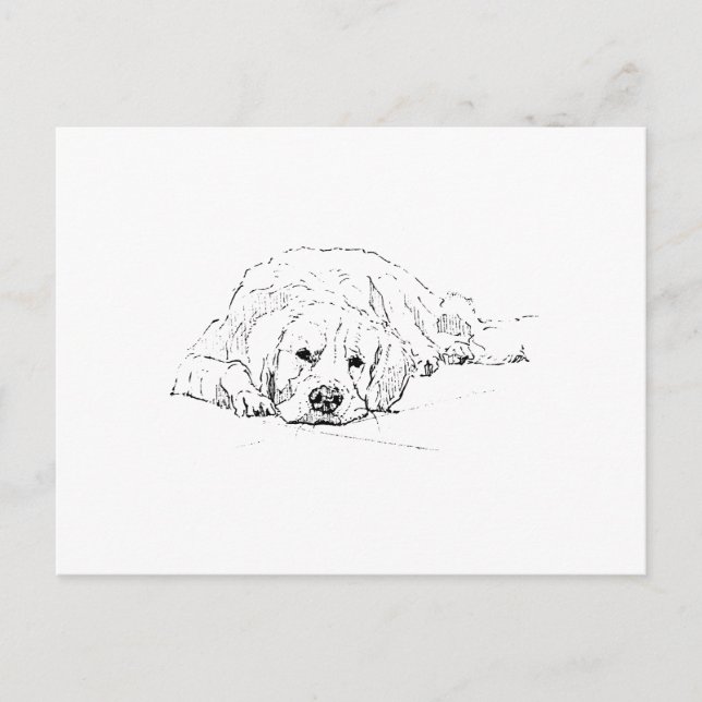 Sovande Golden Retriever, Hundälskare, Teckning Vykort (Framsida)