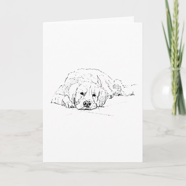 Sovande Golden Retriever, Teckning av Hund Kort (Framsida)